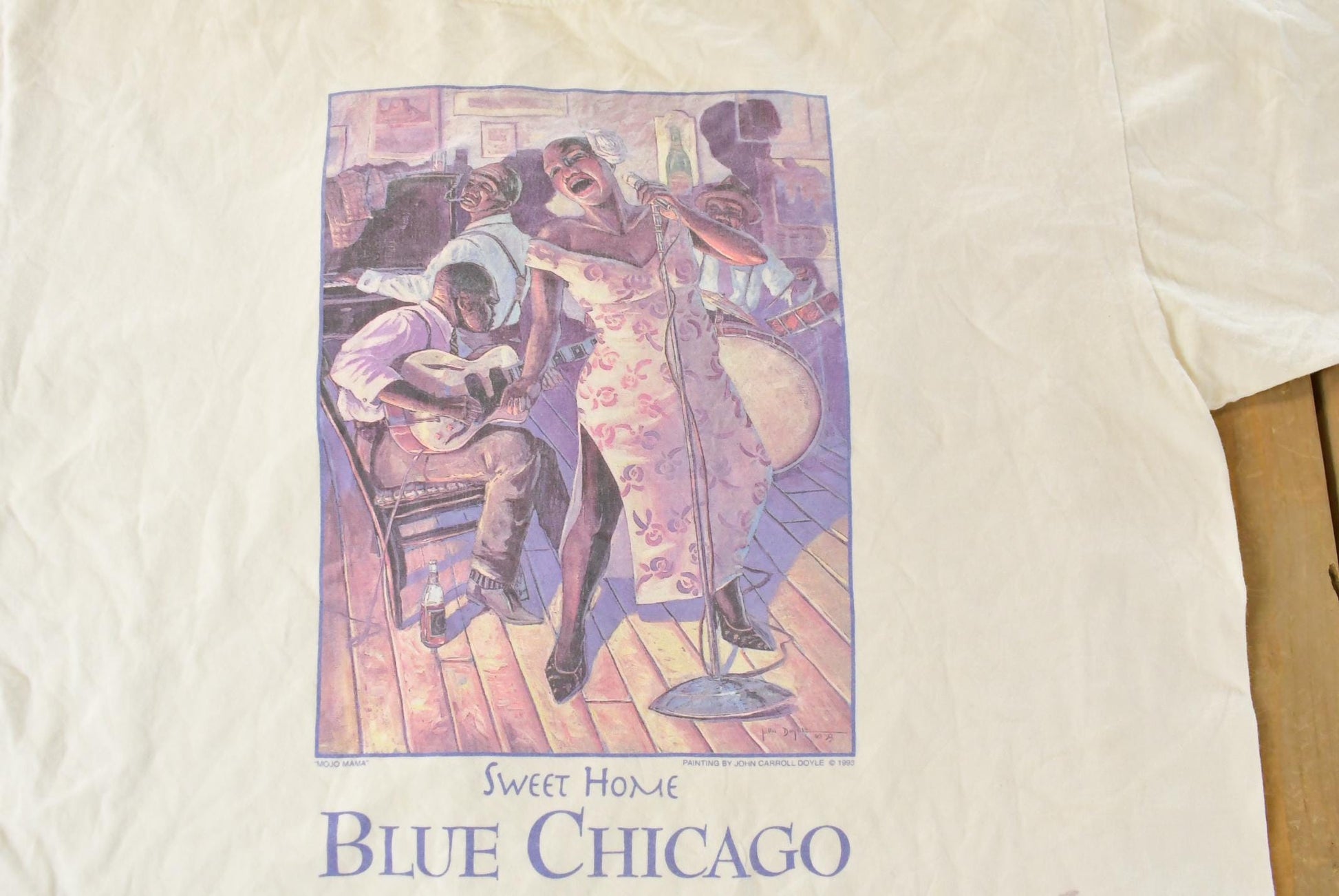 Vintage 1993 Sweet Home Blue Chicago T-Shirt Men's XL / Souvenir T Shirt / Streetwear / Chicago Blues / Vintage Band Tee / Made In USA from propervintagecanada