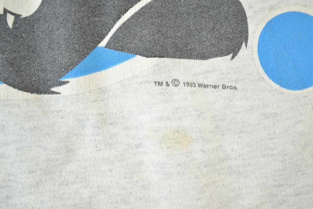 Vintage 1993 Warner Bros Sylvester And Tweety Bird Crewneck Women's S from propervintagecanada