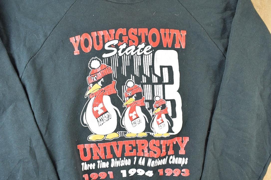 Vintage 1994 Youngstown State Ohio University Crewneck Men's XL from propervintagecanada
