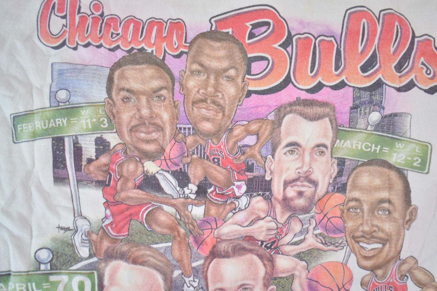 Vintage 1995 1996 Chicago Bulls NBA Graphic T-Shirt / NBA Basketball / 90s Streetwear / Sportswear / Bulls Tee from propervintagecanada
