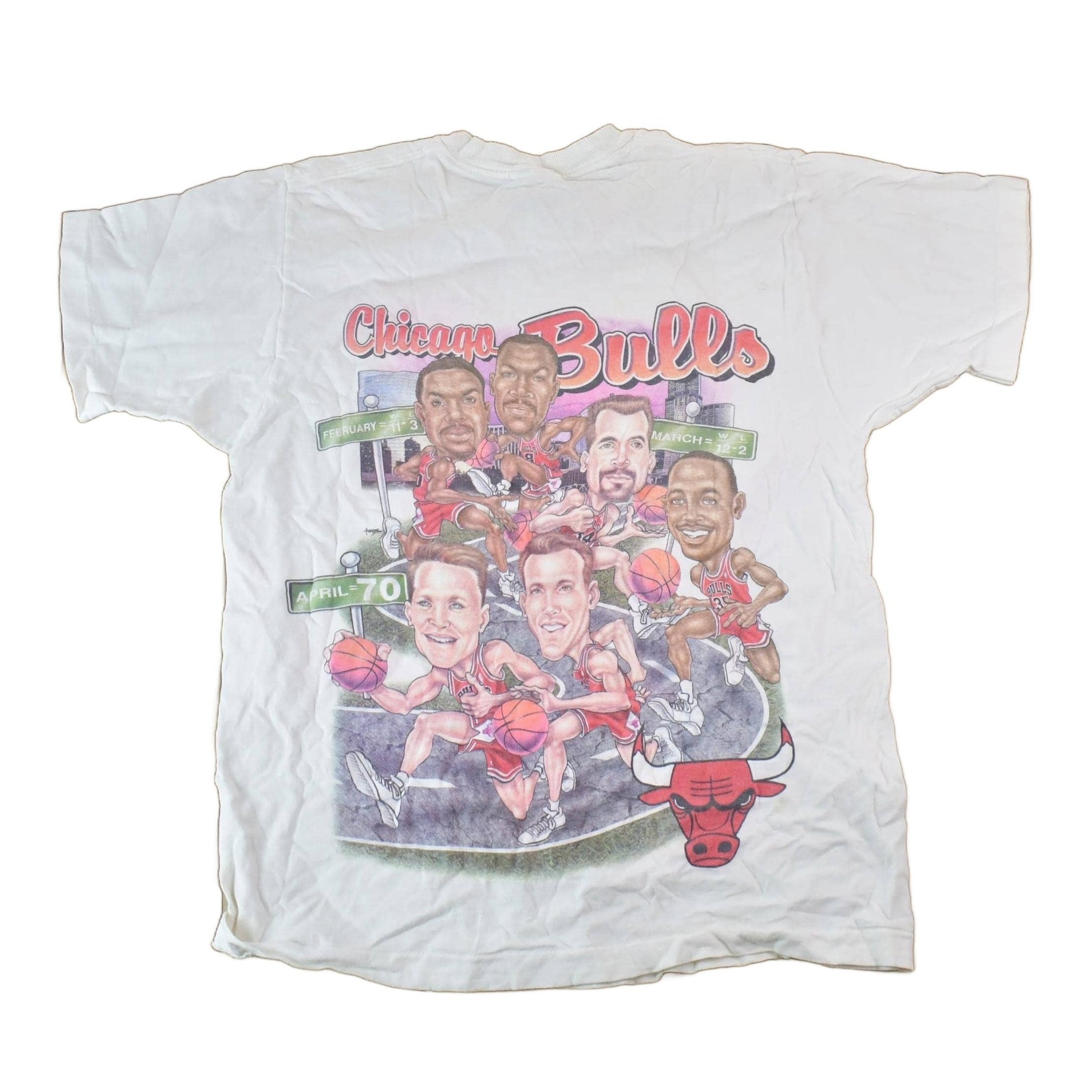 Vintage 1995 1996 Chicago Bulls NBA Graphic T-Shirt / NBA Basketball / 90s Streetwear / Sportswear / Bulls Tee from propervintagecanada