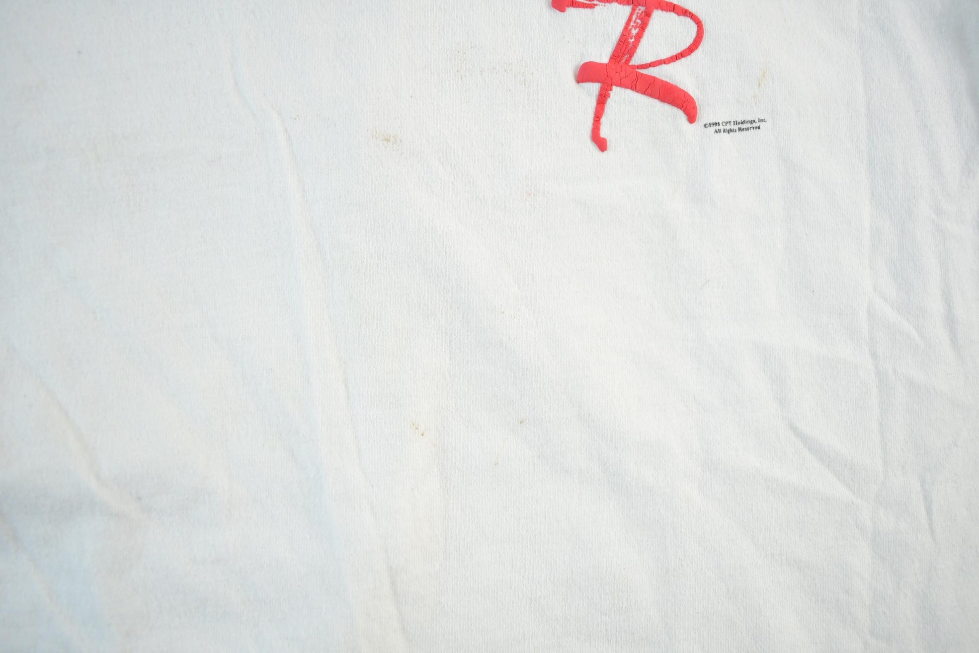 Vintage 1995 The Young & The Restless T-Shirt Men's Large from propervintagecanada