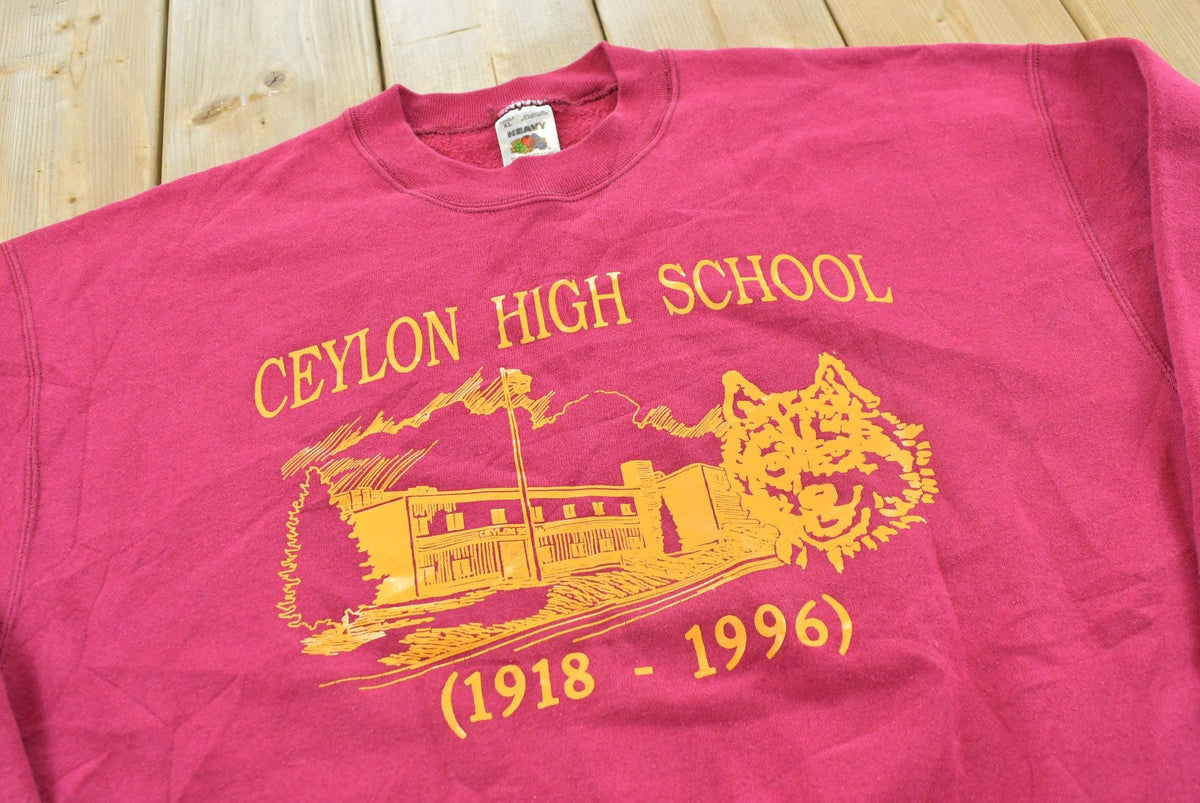 Vintage 1996 Ceylon High School Souvenir Crewneck Sweatshirt Men's L / 90s Streetwear / 1990s Travel Tourism from propervintagecanada