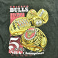 Vintage 1997 ChicagoBulls 5 Time NBA World Champions T-shirt / Single Stitch / Pro Player / Streetwear / Rare Sports Tee / Made In USA from propervintagecanada
