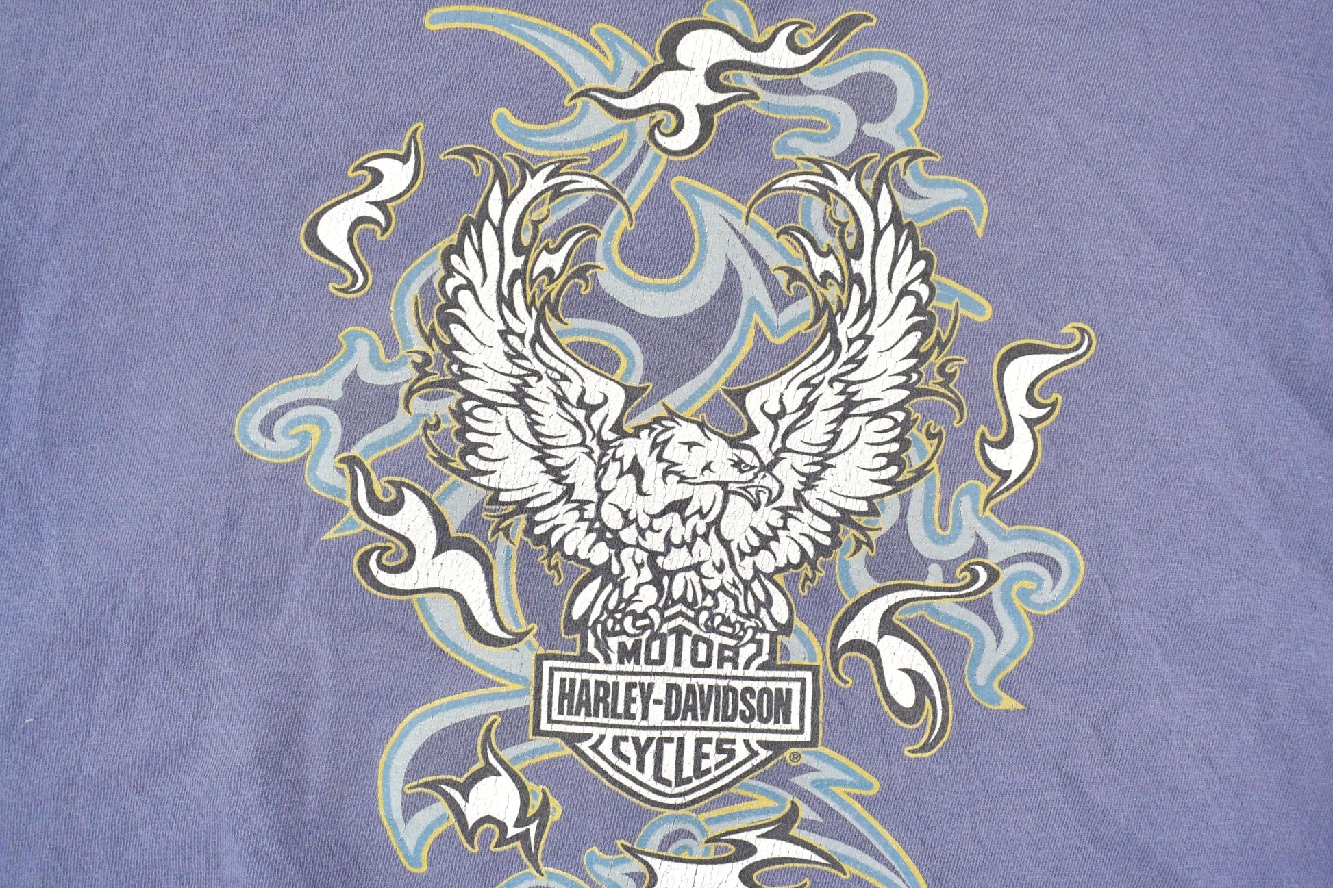 Vintage 1997 Harley Davidson Motorcycles Rio Grande Valley Texas Biker T-Shirt Men's M from propervintagecanada