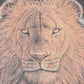 Vintage 1998 Thrashed King Of The Jungle Lion Face Souvenir T-Shirt Men's XXL from propervintagecanada