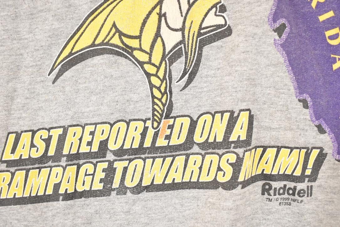 Vintage 1999 Minnesota Vikings Purple People Eaters NFL Crewneck Sweatshirt Mens M from propervintagecanada