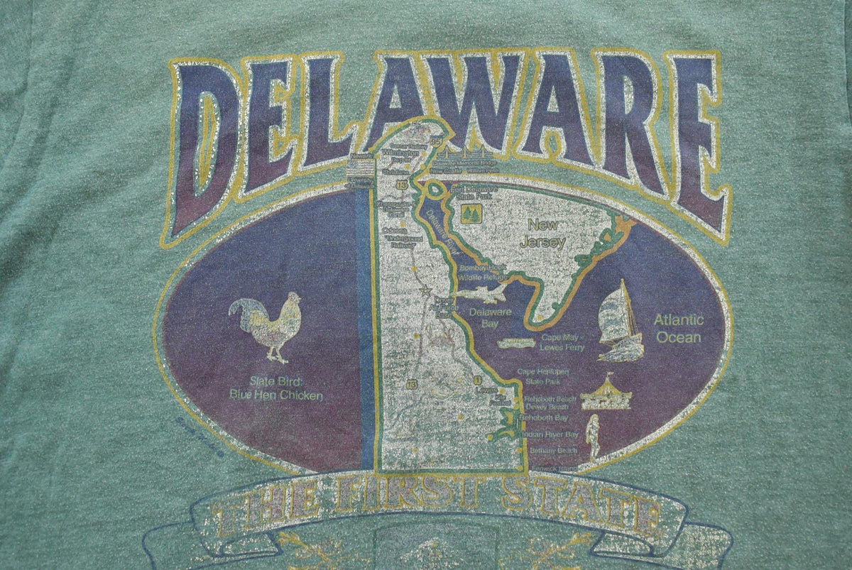 Vintage 2000's Delaware Souvenir Travel T-Shirt Mens M from propervintagecanada