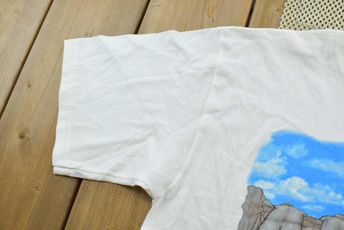 Vintage 2000s Behind Mount Rushmore Parody Souvenir T-Shirt Men's M from propervintagecanada
