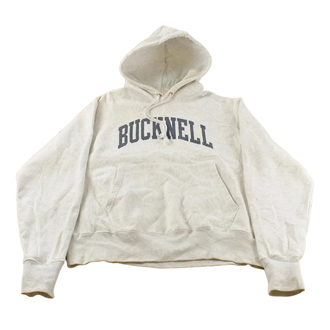 Vintage 2000s Bucknell University Champion Reverse Weave Hoodie Men's M from propervintagecanada