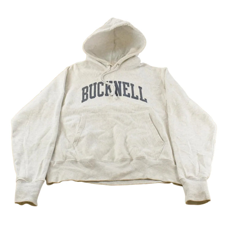 Vintage 2000s Bucknell University Champion Reverse Weave Hoodie Men's M from propervintagecanada
