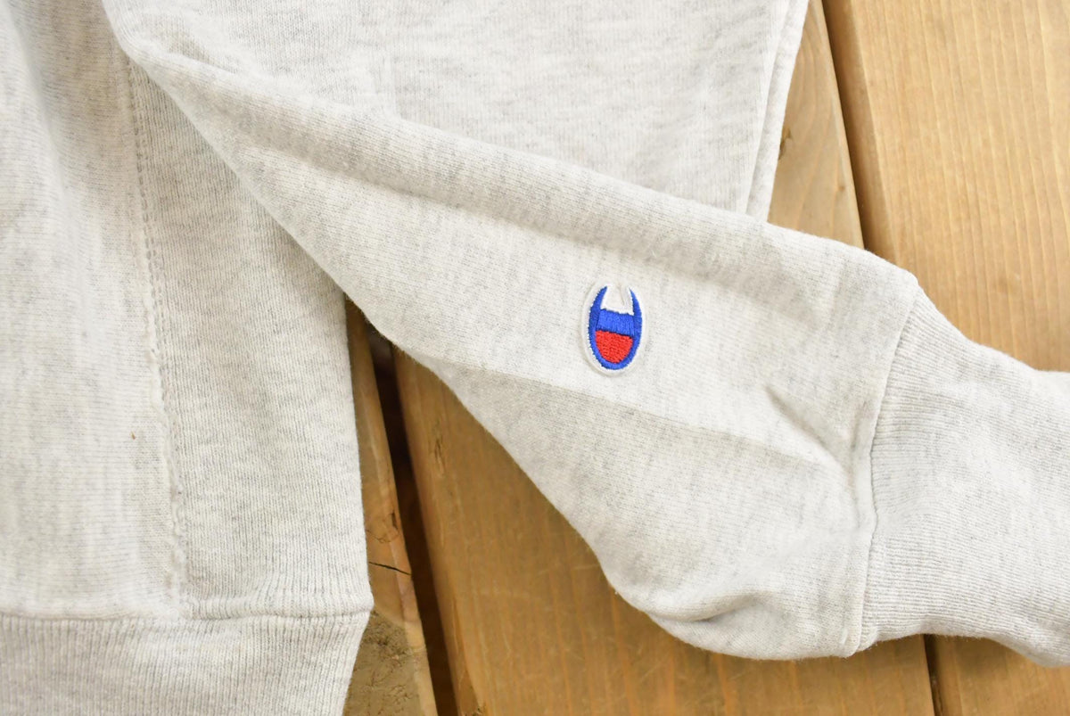 Vintage 2000s Bucknell University Champion Reverse Weave Hoodie Men's M from propervintagecanada
