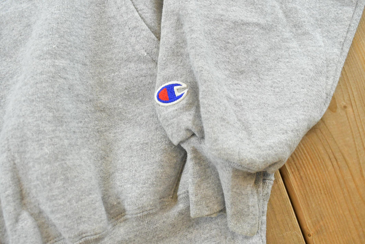 Vintage 2000s Champion Blank Gray Spellout Logo Hoodie Sweatshirt Men's M / Y2K Streetwear / 00s Basic Layering Essential / Athleisure from propervintagecanada