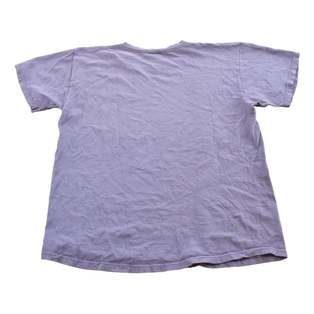 Vintage 2000s Fruit of the Loom Purple Blank T-Shirt Men's M from propervintagecanada