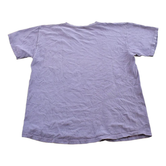 Vintage 2000s Fruit of the Loom Purple Blank T-Shirt Men's M from propervintagecanada