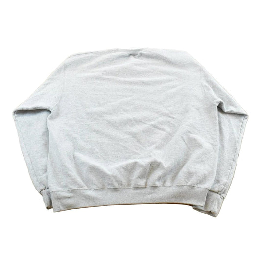 Vintage 2000s Harvard University Champion Collegiate Hoodie Men's L from propervintagecanada