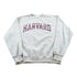 Vintage 2000s Harvard University Champion Collegiate Hoodie Men&