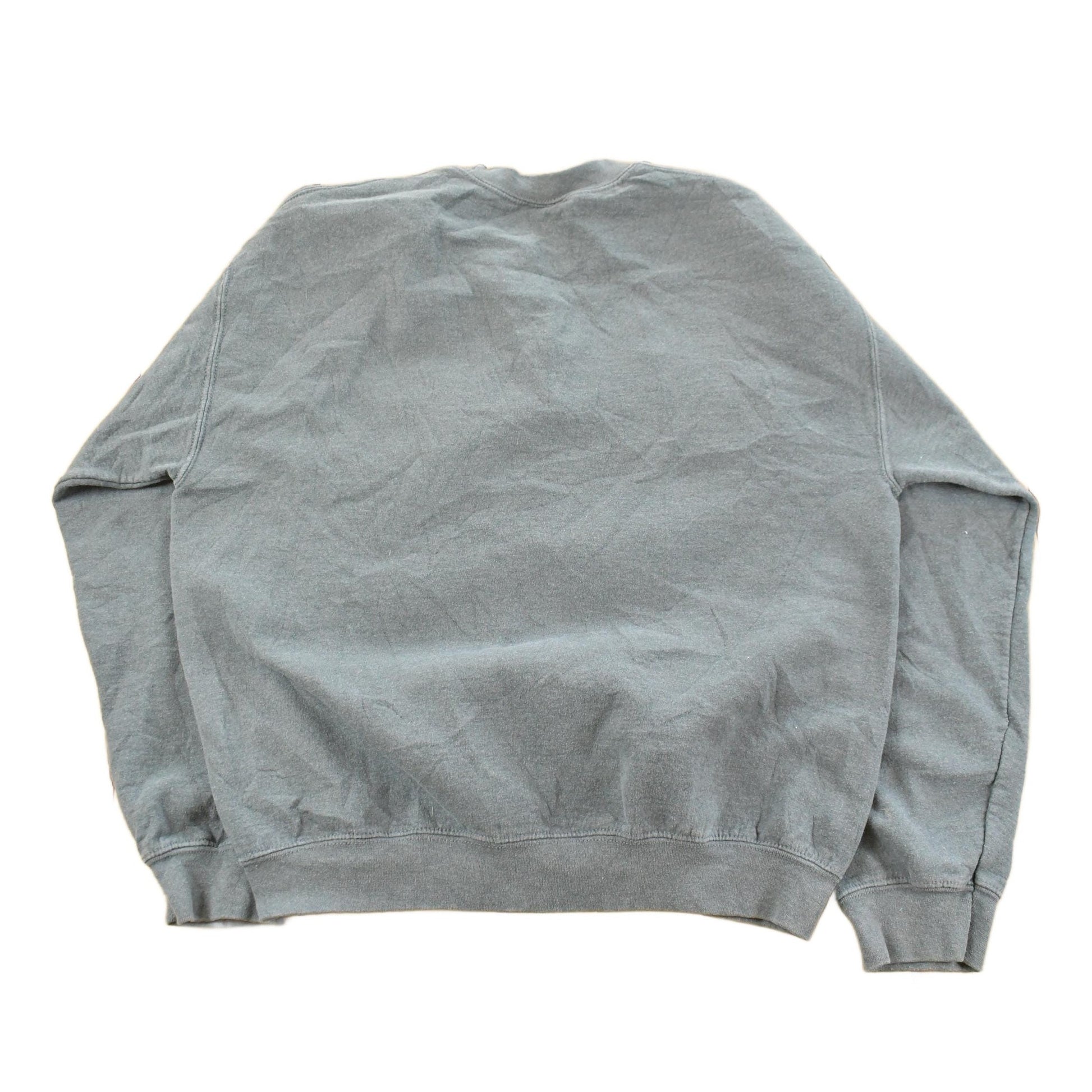 Vintage 2000s Minnesota University Collegiate Crewneck Sweatshirt Men's Medium from propervintagecanada