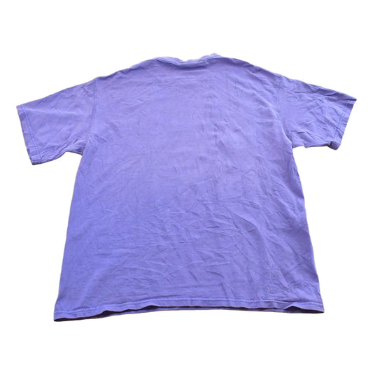 Vintage 2000s Minnesota Vikings Graphic T-Shirt Mens L from propervintagecanada