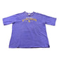 Vintage 2000s Minnesota Vikings NFL V-Neck T-Shirt Men's XL from propervintagecanada
