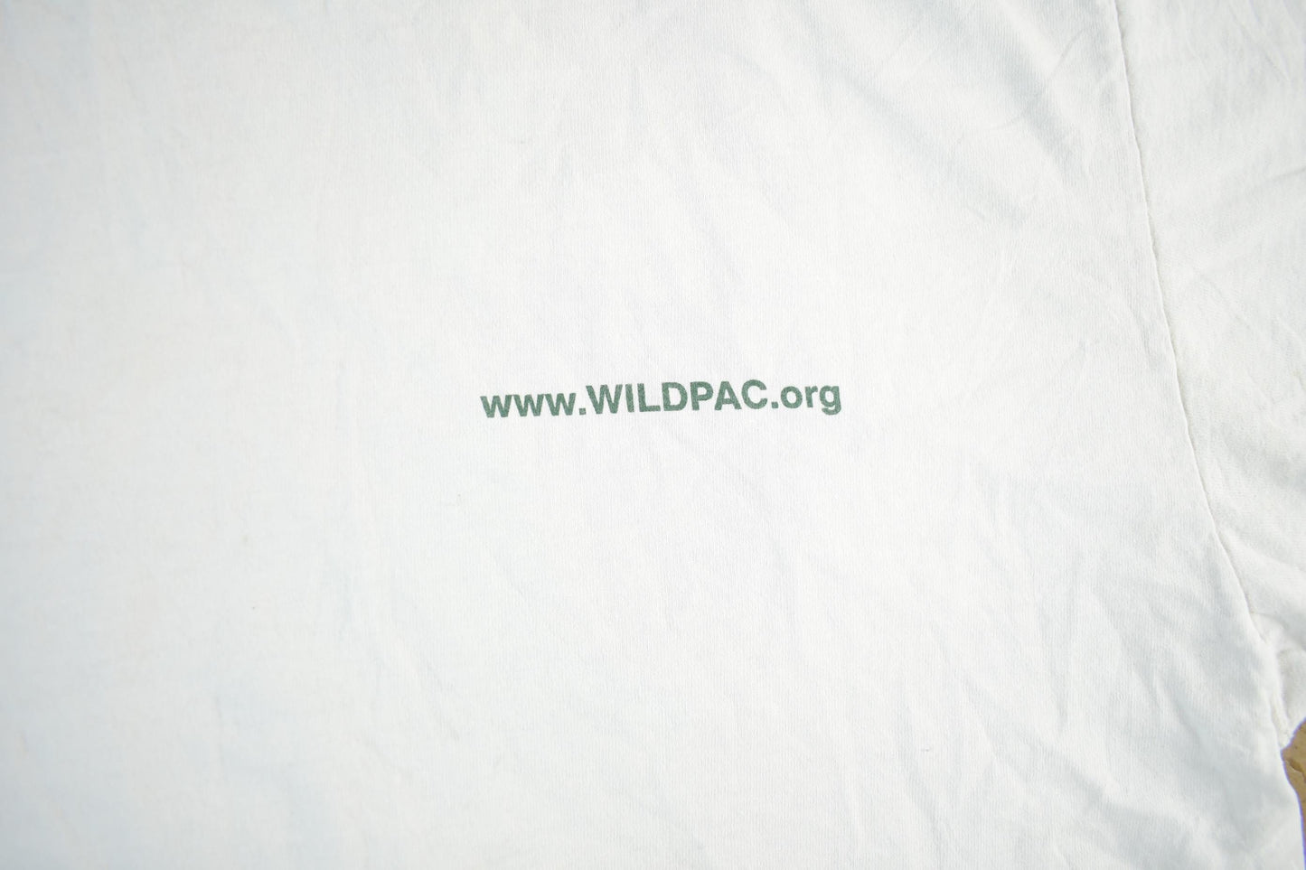 Vintage 2000s Patagonia Wildpac Organic Cotton T-Shirt Men's Large from propervintagecanada