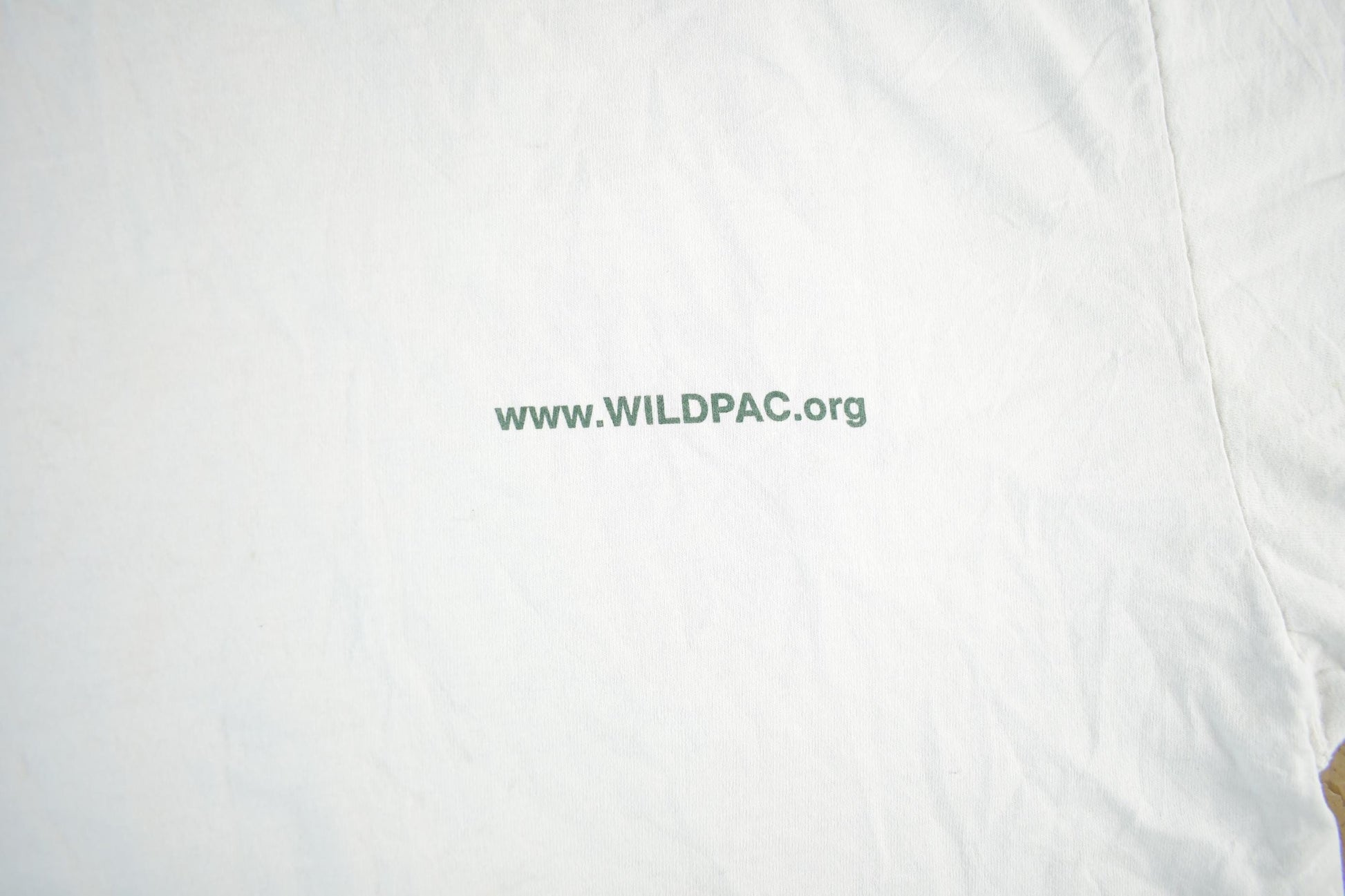 Vintage 2000s Patagonia Wildpac Organic Cotton T-Shirt Men's Large from propervintagecanada
