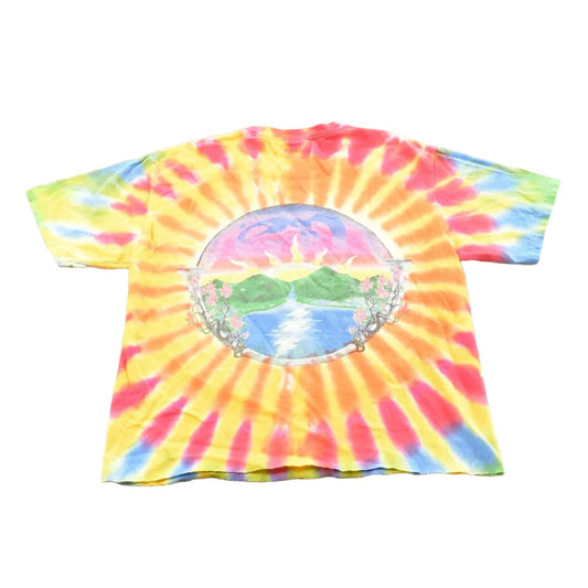 Vintage 2000s The Grateful Dead Sunrise Tie Dye Cropped T-Shirt Men's S from propervintagecanada