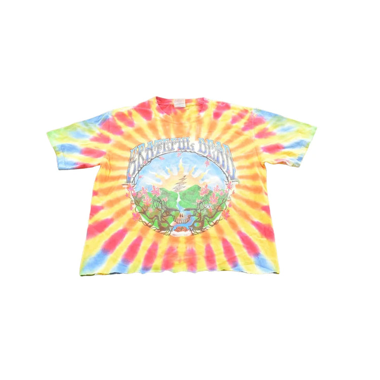 Vintage 2000s The Grateful Dead Sunrise Tie Dye Cropped T-Shirt Men's S from propervintagecanada