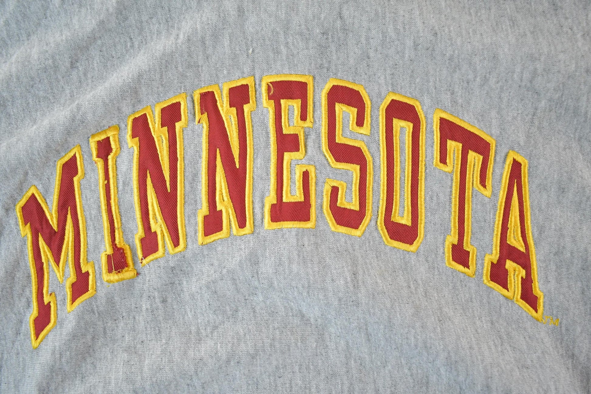 Vintage 2000s University of Minnesota Collegiate Hoodie Men's S from propervintagecanada