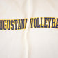 Vintage 90s Augustana Volleyball Hoodie - Russell Athletics NCAA Sweater, Men's L from propervintagecanada