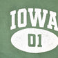 Vintage 90s Iowa Hoodie, Souvenir Graphic Sweater (Men's L) from propervintagecanada