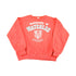 Vintage 90s University of Waterloo Crewneck Sweatshirt, Men&