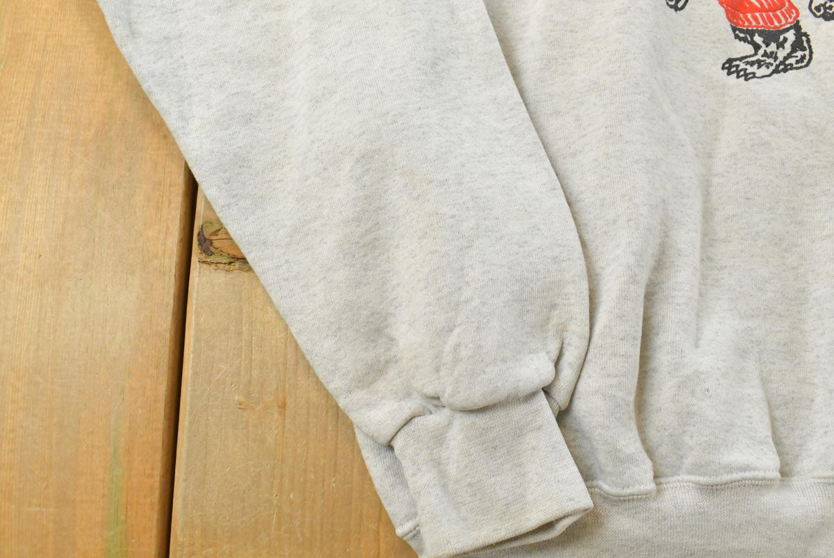 Vintage 90s Wisconsin Badgers Hoodie Sweatshirt Men's M Made in USA Collegiate Sweater from propervintagecanada