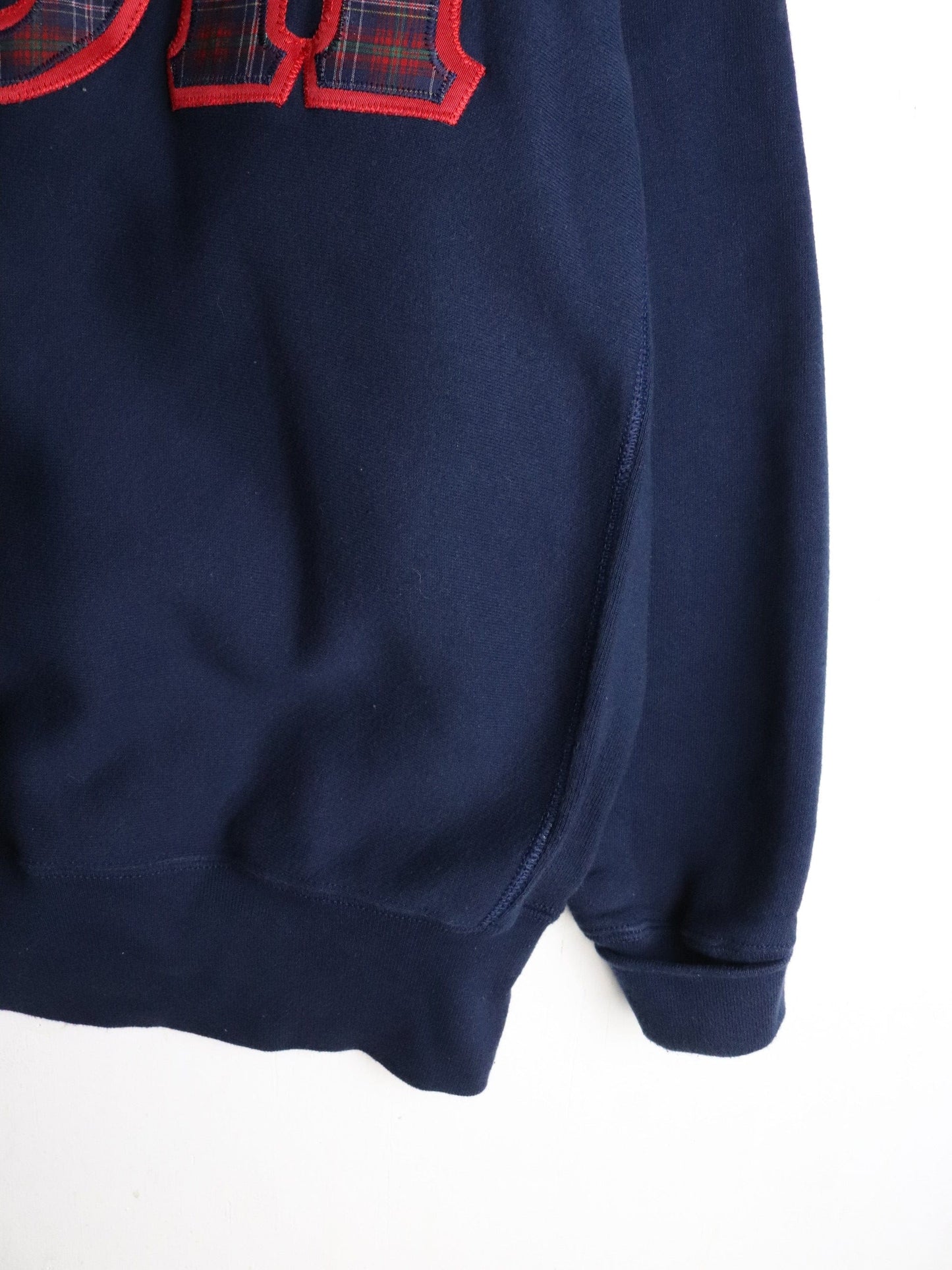 Vintage Alpha Omicron Pi Sweatshirt Mens Large Blue College from propervintagecanada