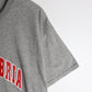 Vintage Central Cambria Football T Shirt Mens Large Grey Russell Athletic from propervintagecanada