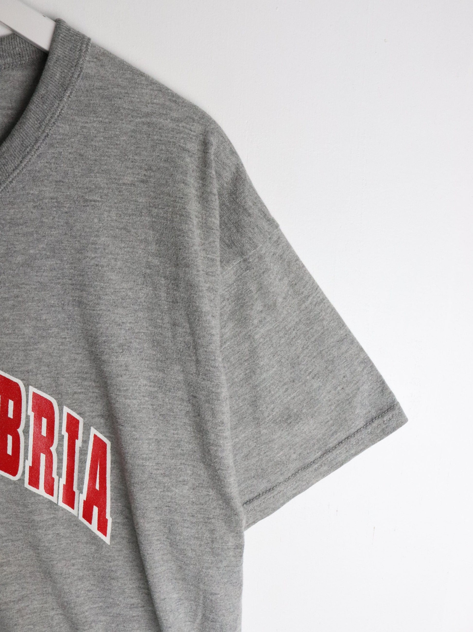 Vintage Central Cambria Football T Shirt Mens Large Grey Russell Athletic from propervintagecanada