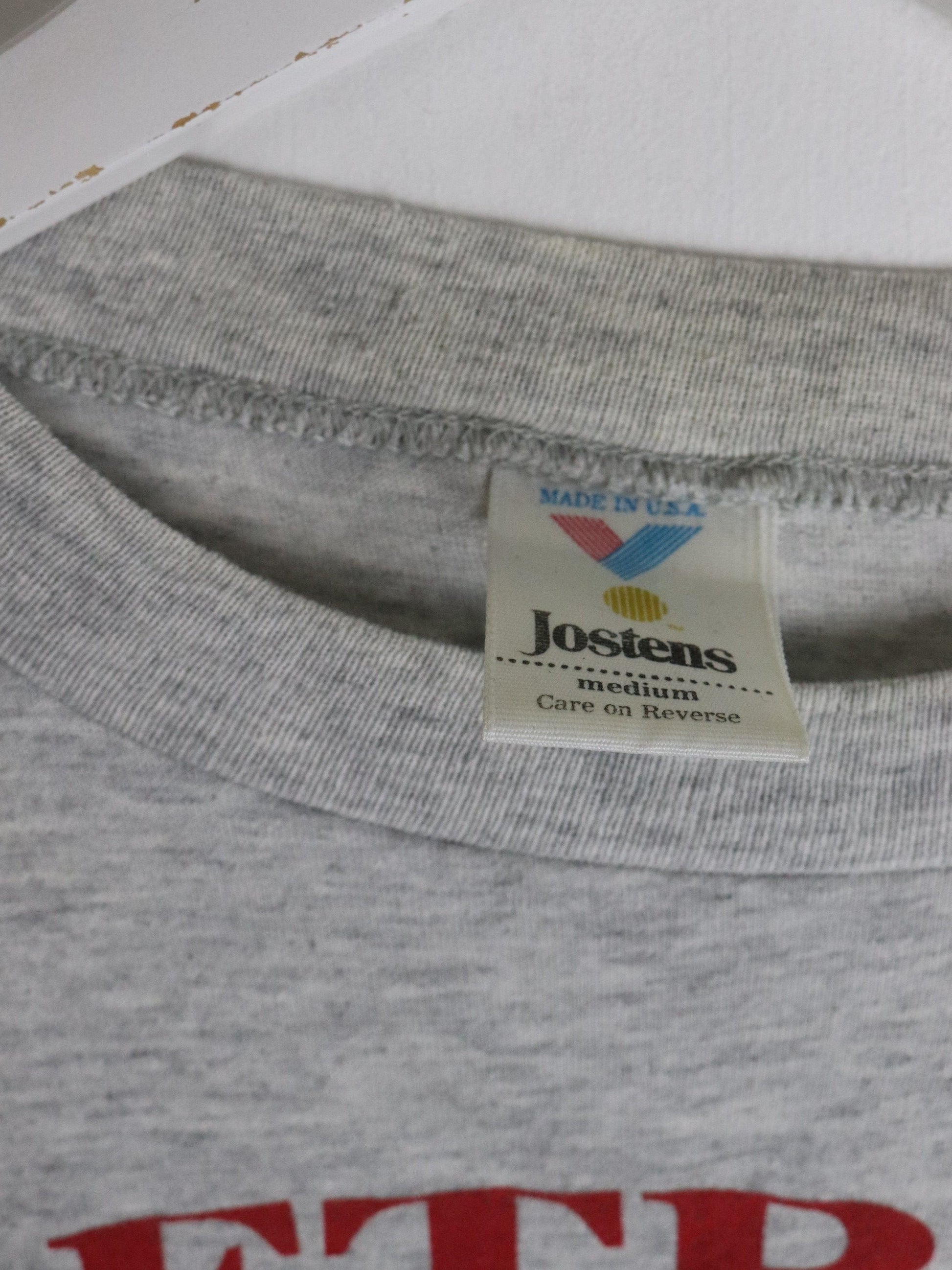 Vintage Detroit Red Wings T Shirt Mens Medium Grey from propervintagecanada