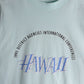 Vintage Hawaii T Shirt Mens XL Blue 90s USA from propervintagecanada