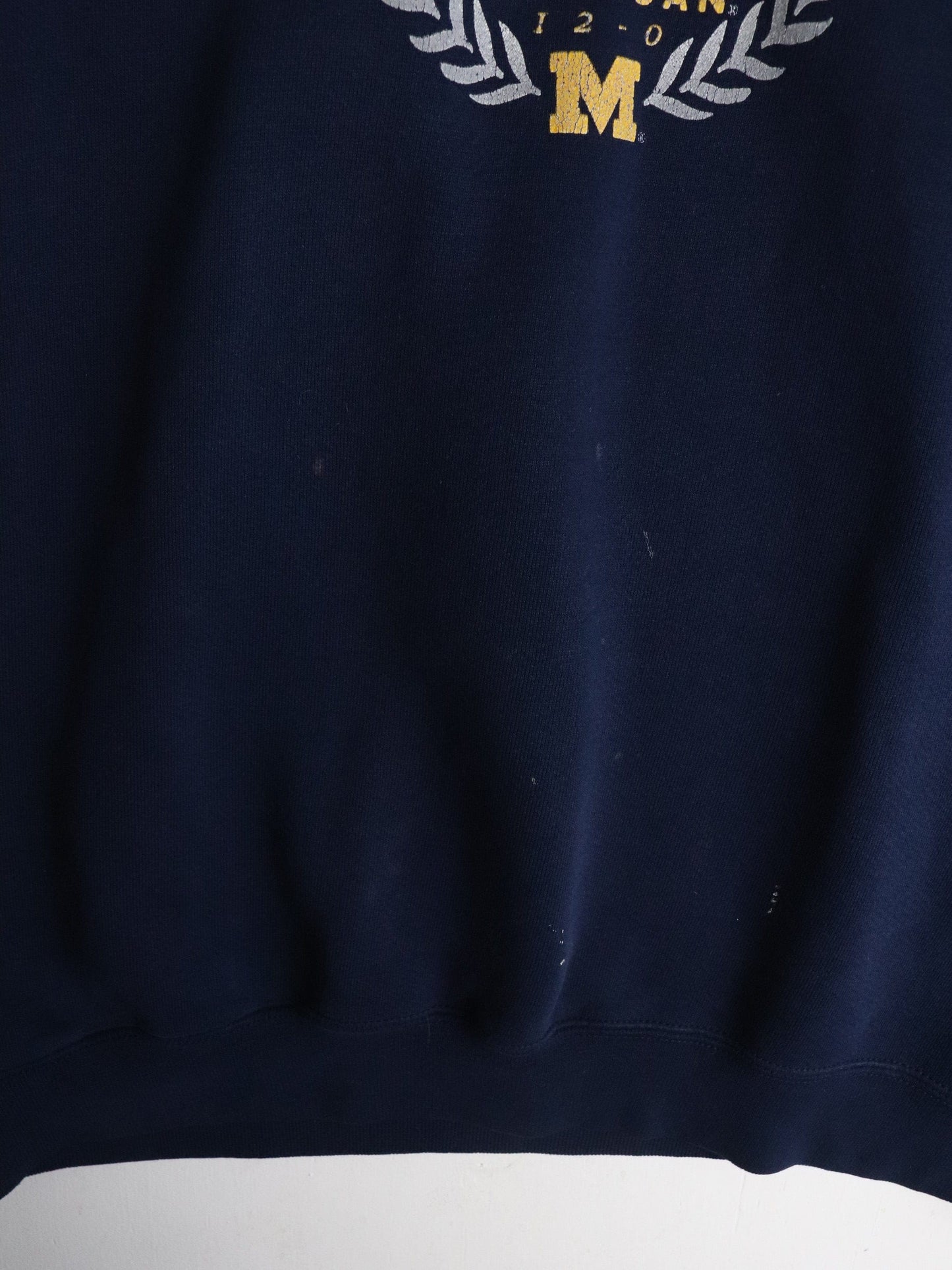 Vintage Michigan Wolverines Sweatshirt Mens Medium Blue from propervintagecanada