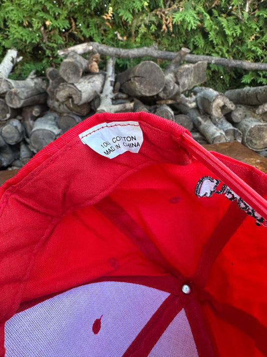 Vintage Toronto Blue Jays Hat Youth Red Snap Back