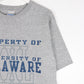 Vintage University of Delaware T Shirt Mens XL Grey College from propervintagecanada