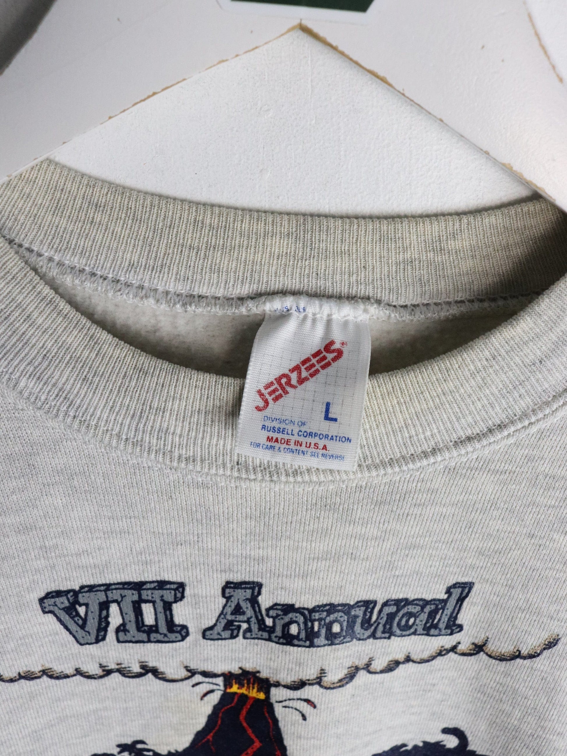 Vintage UofM Vs MSU Sweatshirt Mens S/M Grey