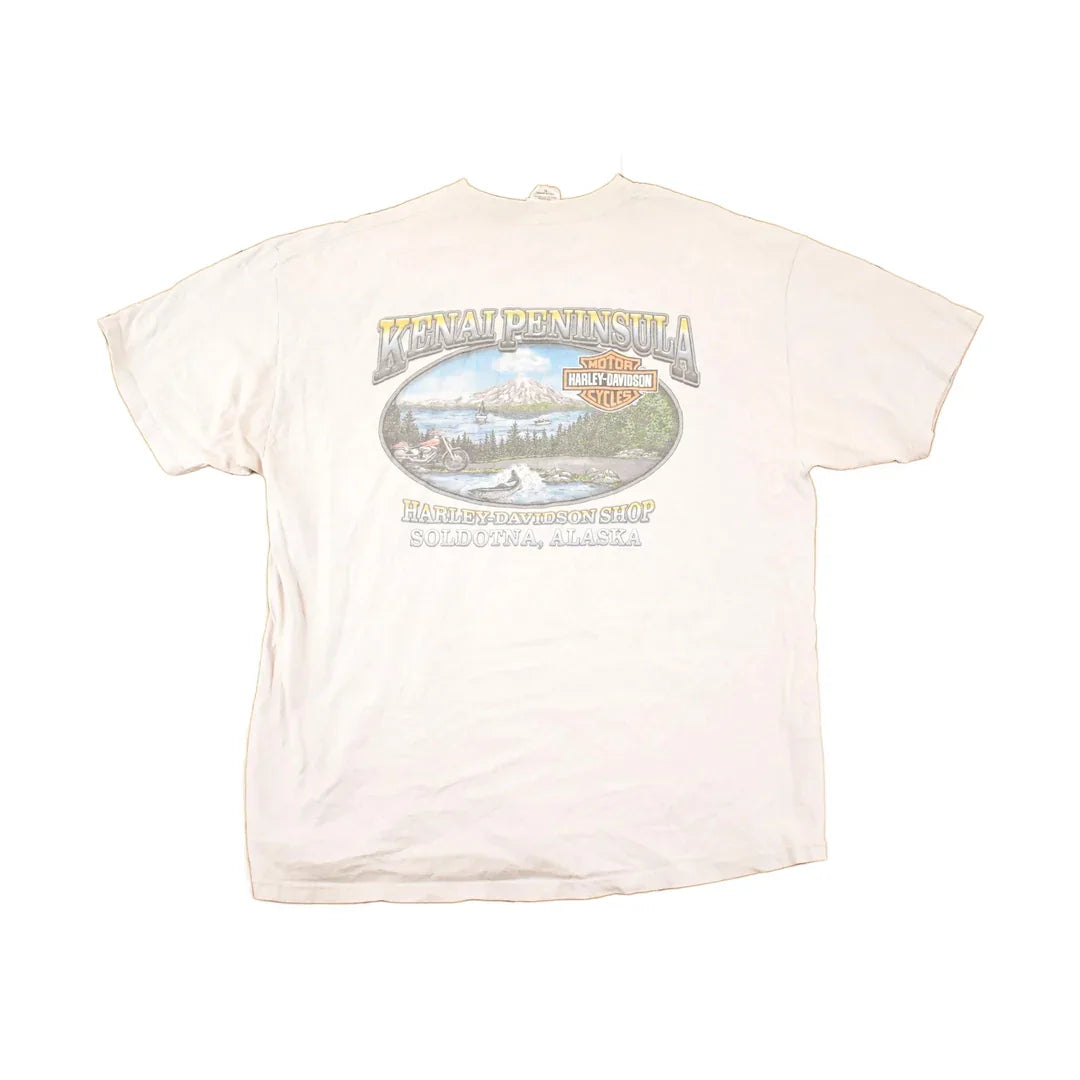 Vintage Y2K Alaska Harley Davidson Motorcycles Biker T-Shirt Men's L from propervintagecanada