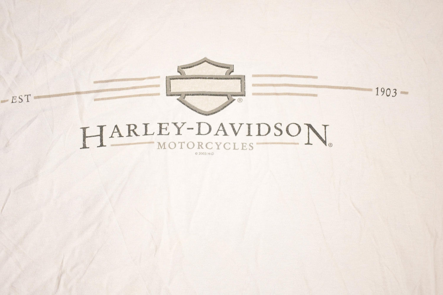 Vintage Y2K Alaska Harley Davidson Motorcycles Biker T-Shirt Men's L from propervintagecanada