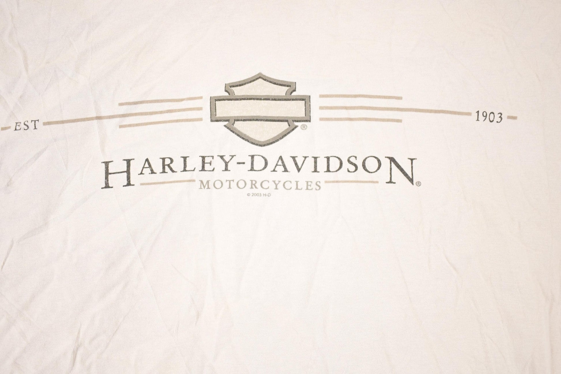Vintage Y2K Alaska Harley Davidson Motorcycles Biker T-Shirt Men's L from propervintagecanada