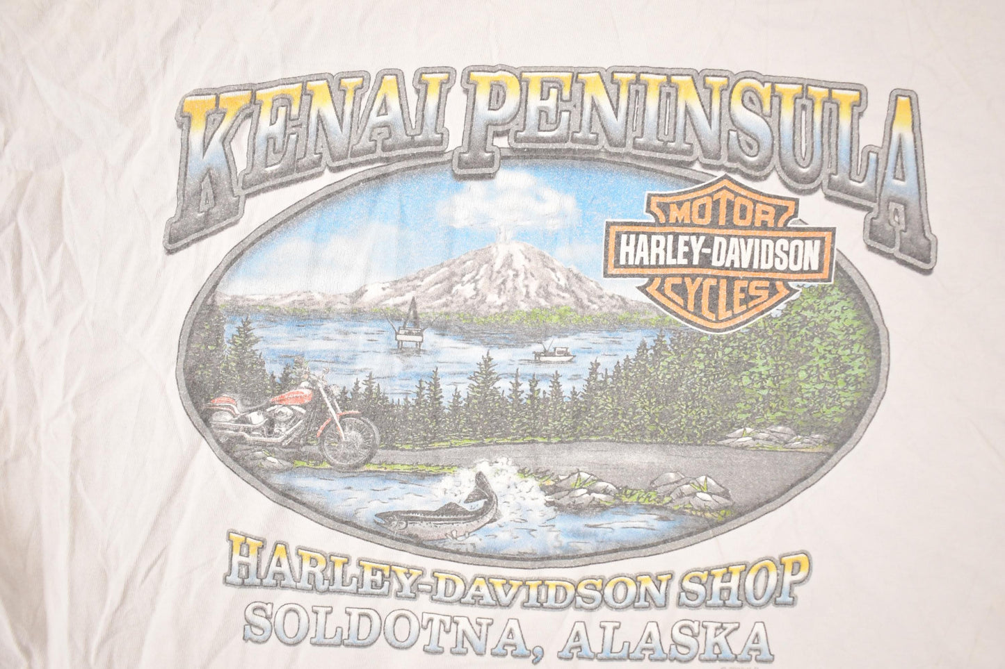 Vintage Y2K Alaska Harley Davidson Motorcycles Biker T-Shirt Men's L from propervintagecanada