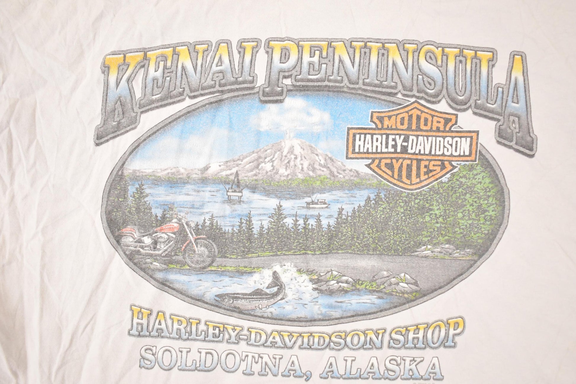 Vintage Y2K Alaska Harley Davidson Motorcycles Biker T-Shirt Men's L from propervintagecanada