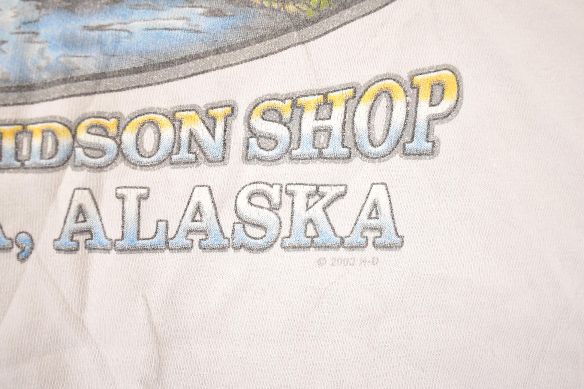 Vintage Y2K Alaska Harley Davidson Motorcycles Biker T-Shirt Men's L from propervintagecanada