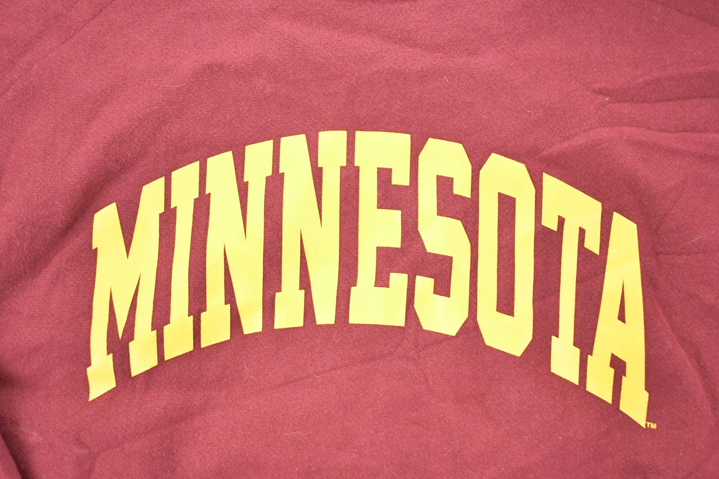 Vintage Y2K Champion Premium Reverse Weave Minnesota Crewneck Sweatshirt Men's XXL from propervintagecanada