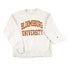 Vintage Y2K Champion Reverse Weave Bloomsburg University Crewneck Sweatshirt Mens L from propervintagecanada